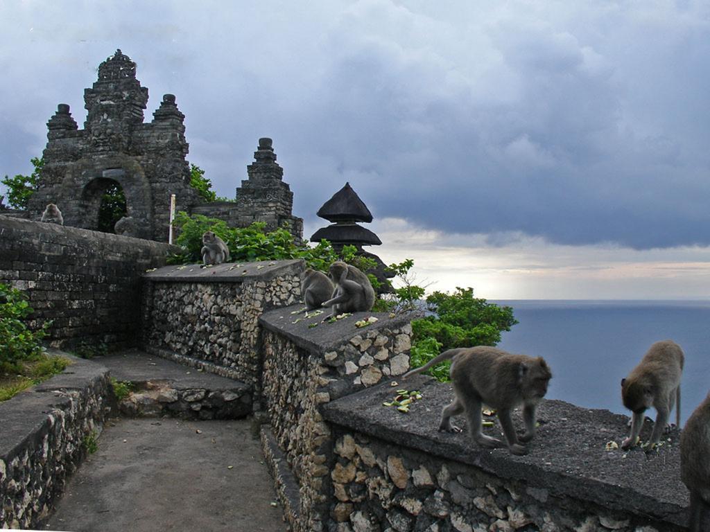 Bali Green Hills Pecatu Екстериор снимка